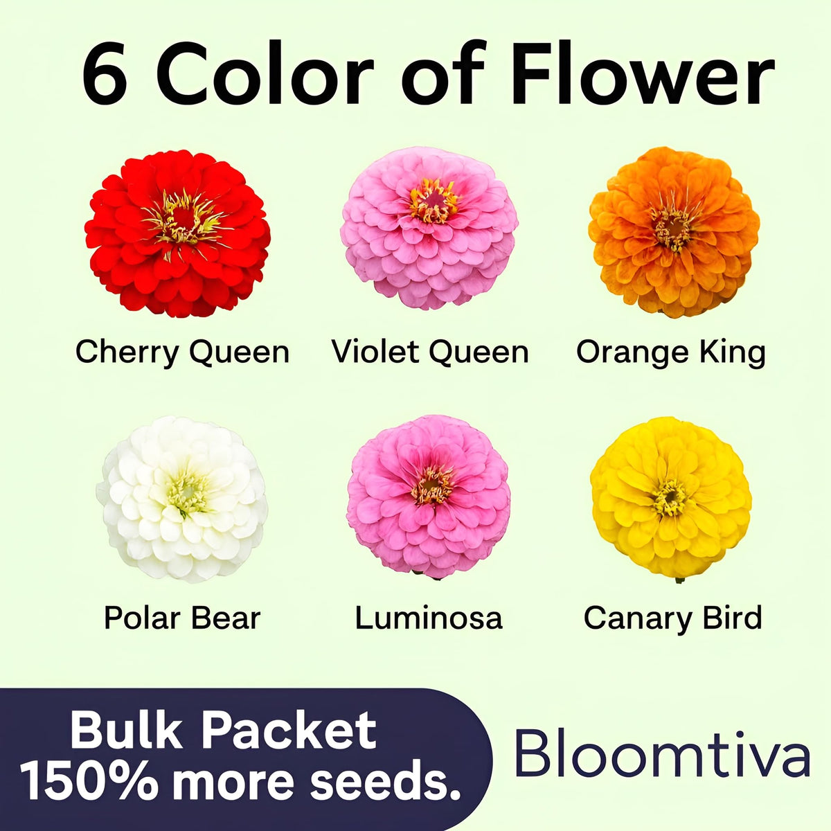 Bloomtiva zinnias attract pollinators, brightening summer landscapes