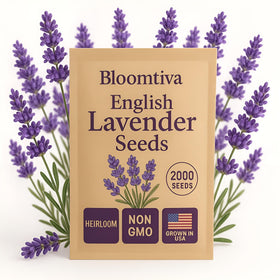 Bloomtiva pollinators on lavender attracting bees and butterflies