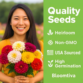Bloomtiva zinnia seeds are easy to grow for beginners