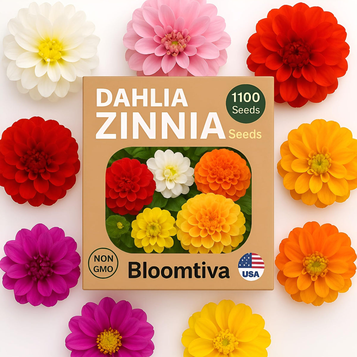 Bloomtiva zinnia seeds with mixed colors and large blooms for cutting gardens
