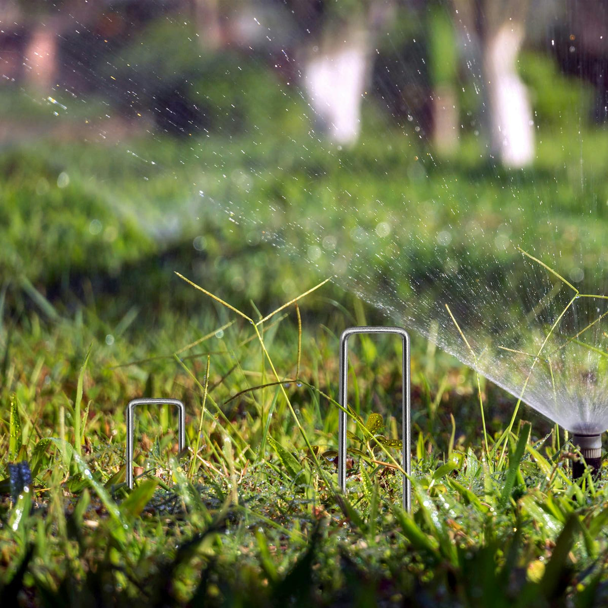 BLOSMIY sharp tips ease piercing into soil for quick setup