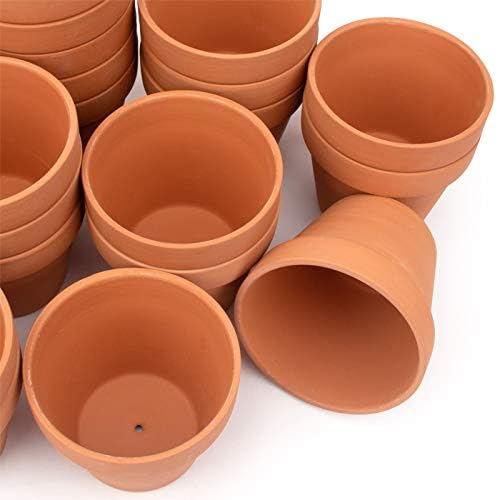 BLQH 4-inch terracotta pot pack ready for versatile planting and labeling