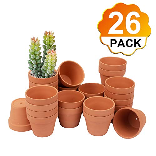 BLQH clay planter with drainage holes promotes soil drainage and air flow