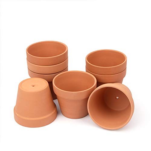 BLQH smooth terracotta texture closeup emphasizing premium finish