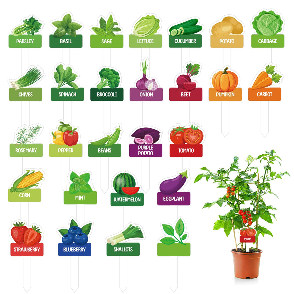 BLSUREFYX 60pcs PVC vegetable markers show 26 designs for clear garden labeling.