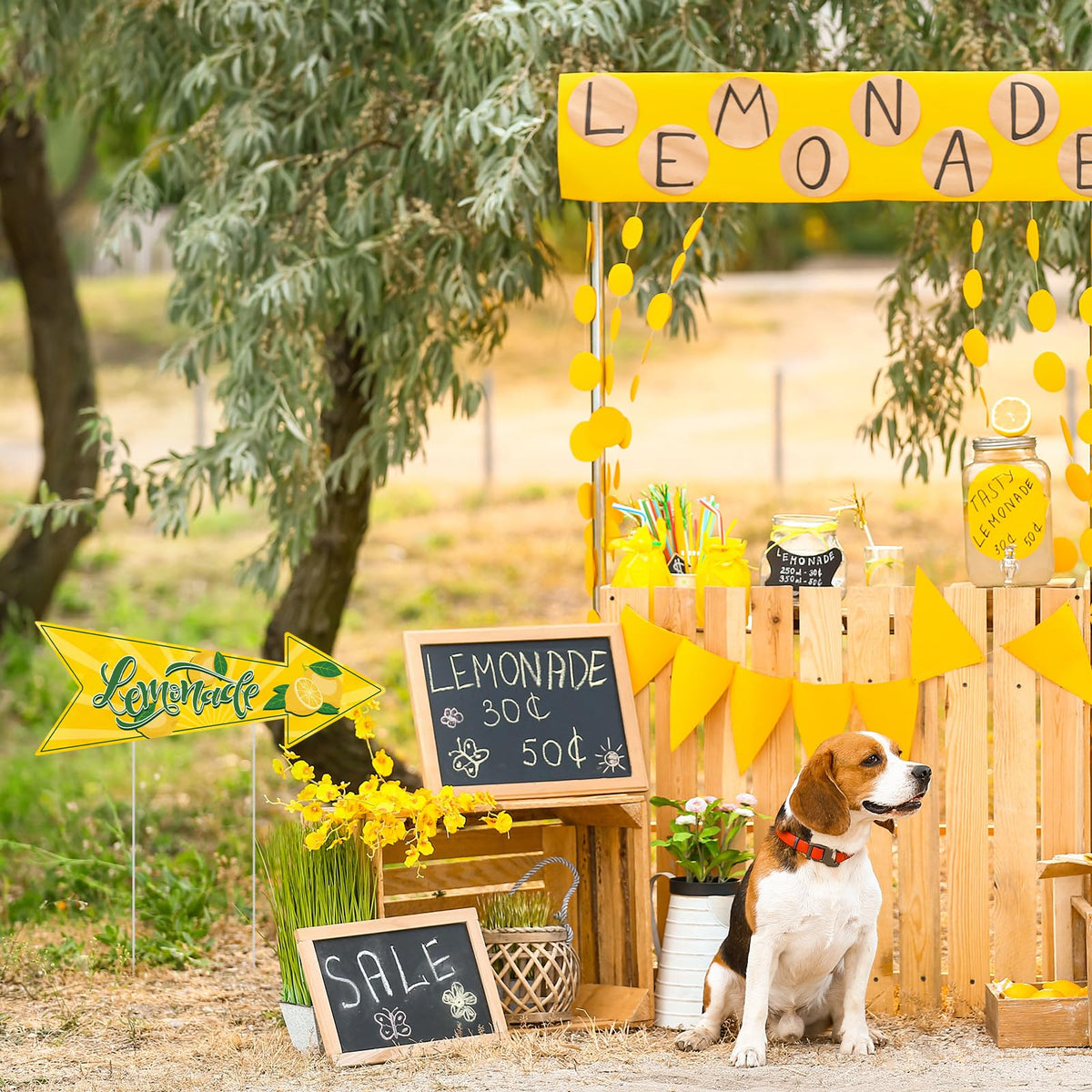 BLSUREFYX Lemonade Stand Arrow Sign stake setup for quick outdoor placement.