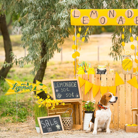 BLSUREFYX Lemonade Stand Arrow Sign stake setup for quick outdoor placement.