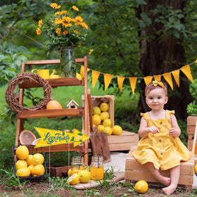 BLSUREFYX Lemonade Stand Arrow Sign durable corrugated plastic for weather resistance.