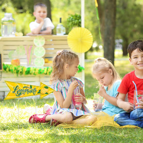 BLSUREFYX Lemonade Stand Yard Sign Collection demonstrates sturdy outdoor signage.
