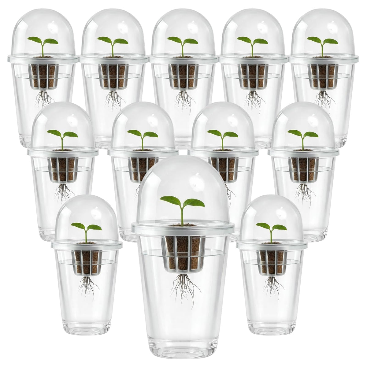 Bluaspay root observation cups for clear root viewing during hydroponics