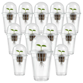 Bluaspay root observation cups for clear root viewing during hydroponics