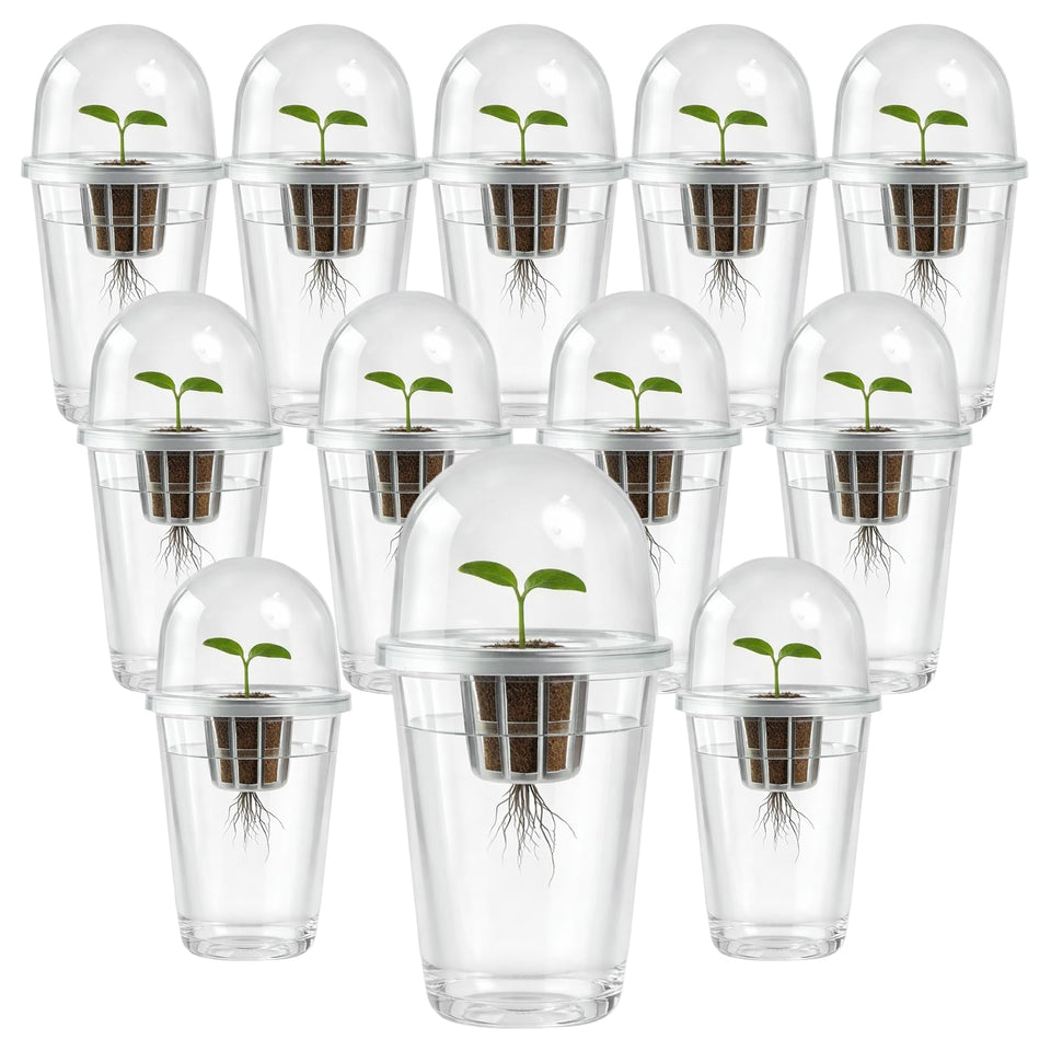 Bluaspay root observation cups for clear root viewing during hydroponics