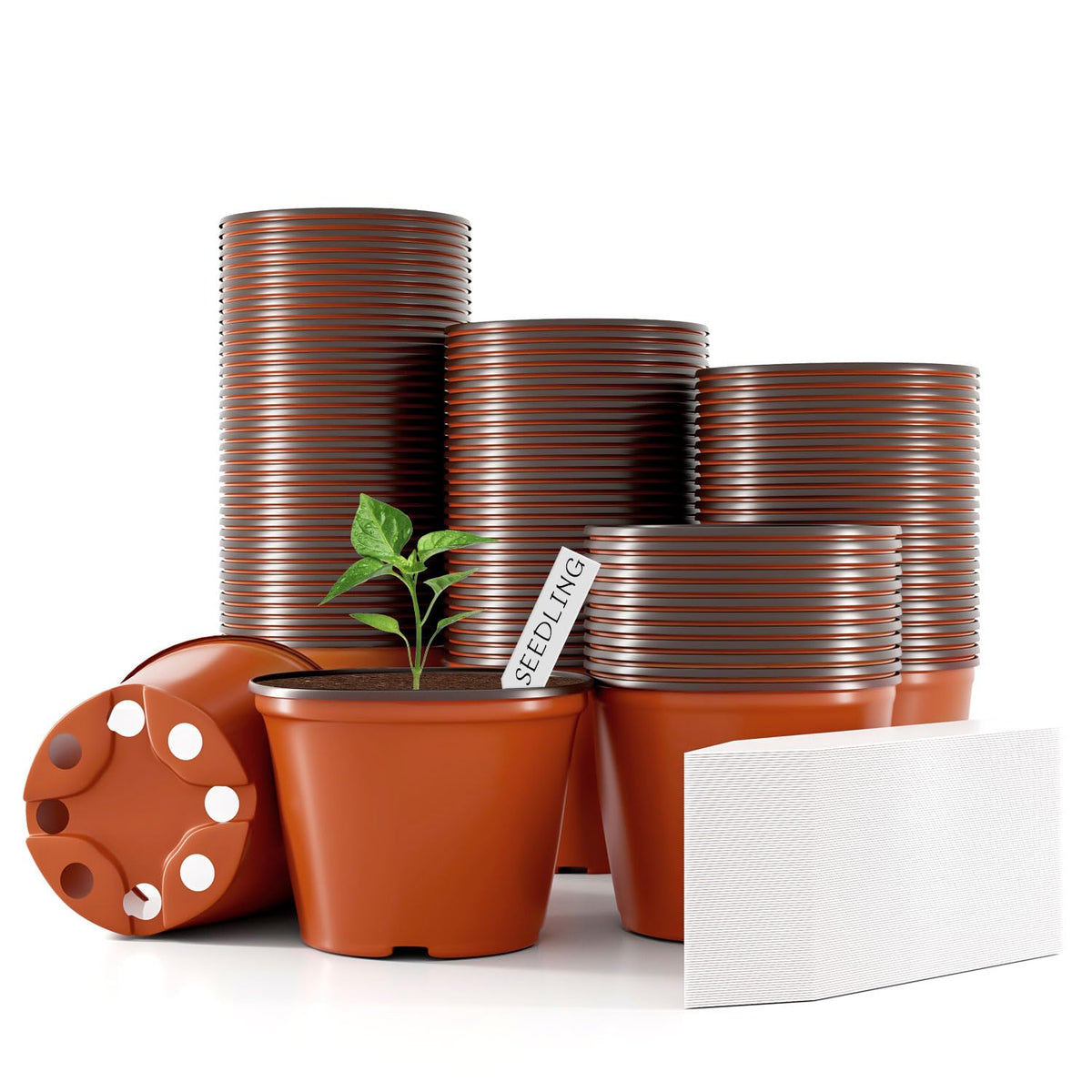 Bluckincle 4-inch pot with drainage holes for seed starting and transplanting.