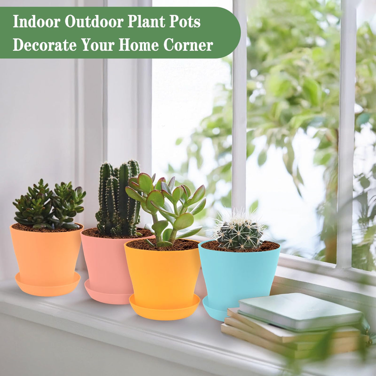 Bright color pots brighten shelves and windowsills with lively plant displays.