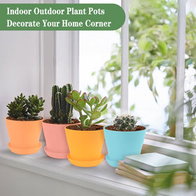 Bright color pots brighten shelves and windowsills with lively plant displays.