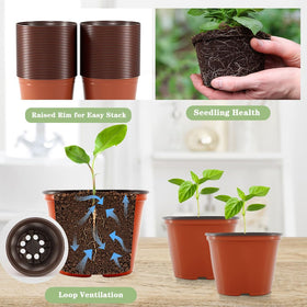 Bluckincle pot features drainage holes to prevent overwatering.