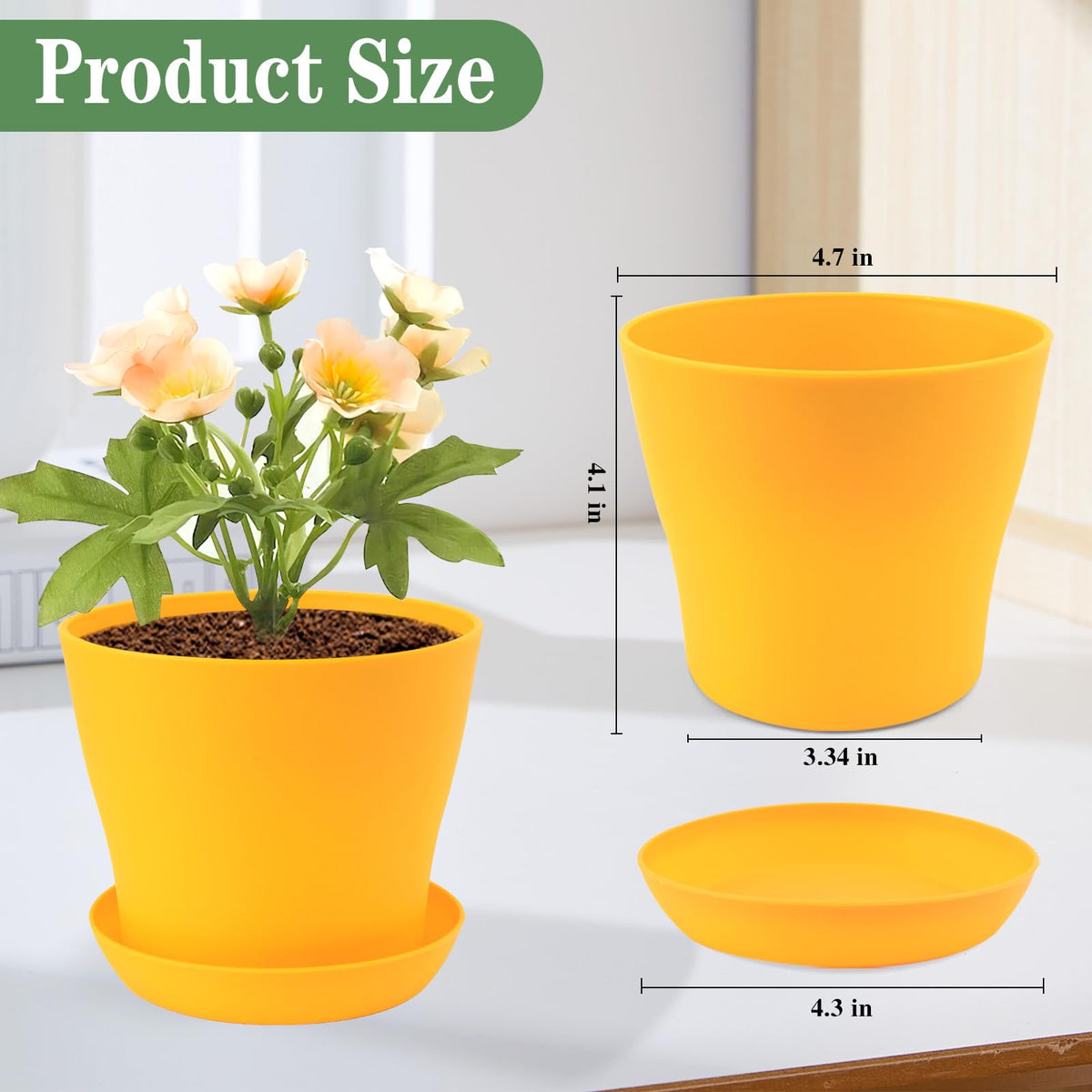 Pots feature drainage holes to prevent waterlogging and root issues.