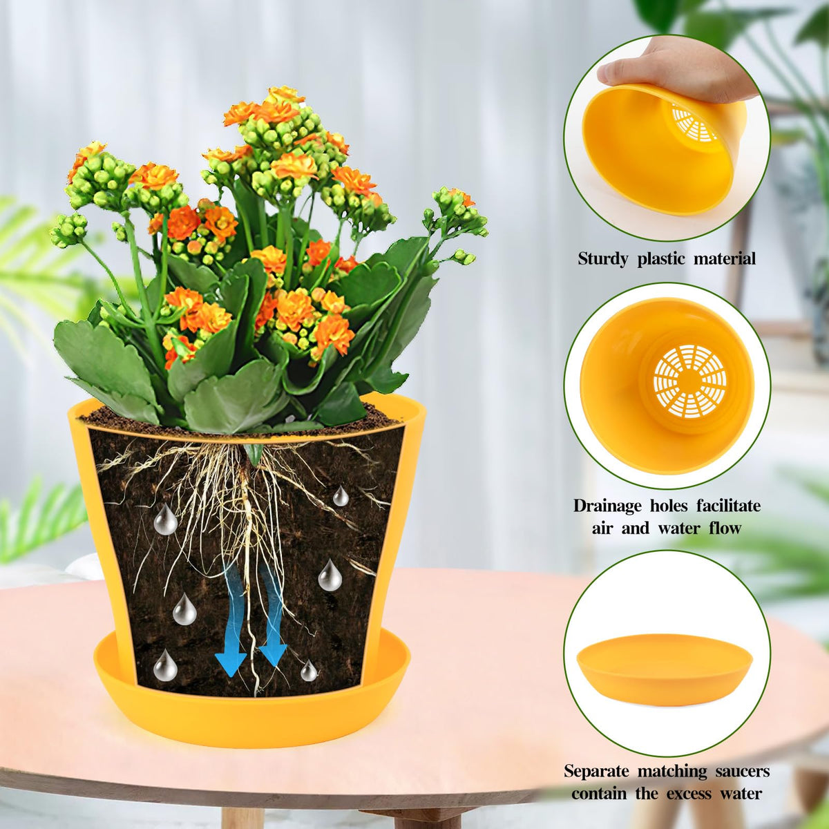Matching saucers catch excess water, keeping surfaces clean.