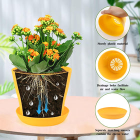Matching saucers catch excess water, keeping surfaces clean.
