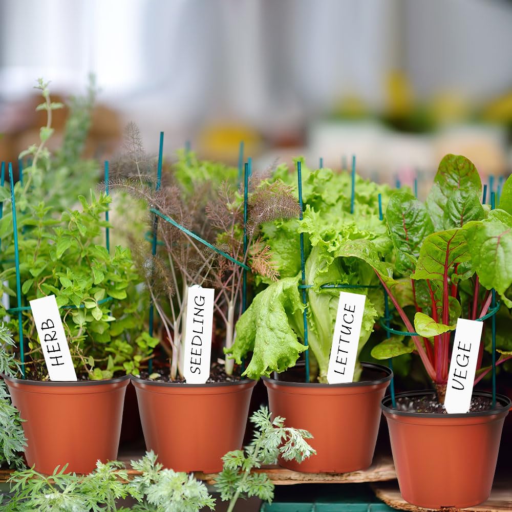 Bluckincle seedling pots with waterproof labels for easy identification.