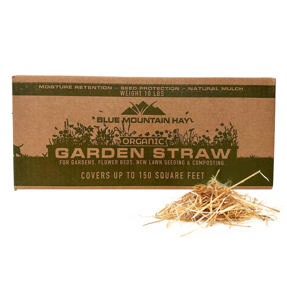 Blue Mountain Hay organic garden straw bag ready for mulch and soil coverage.
