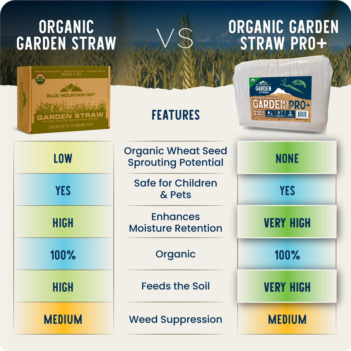 Blue Mountain Hay organic straw covers soil to help retain moisture naturally