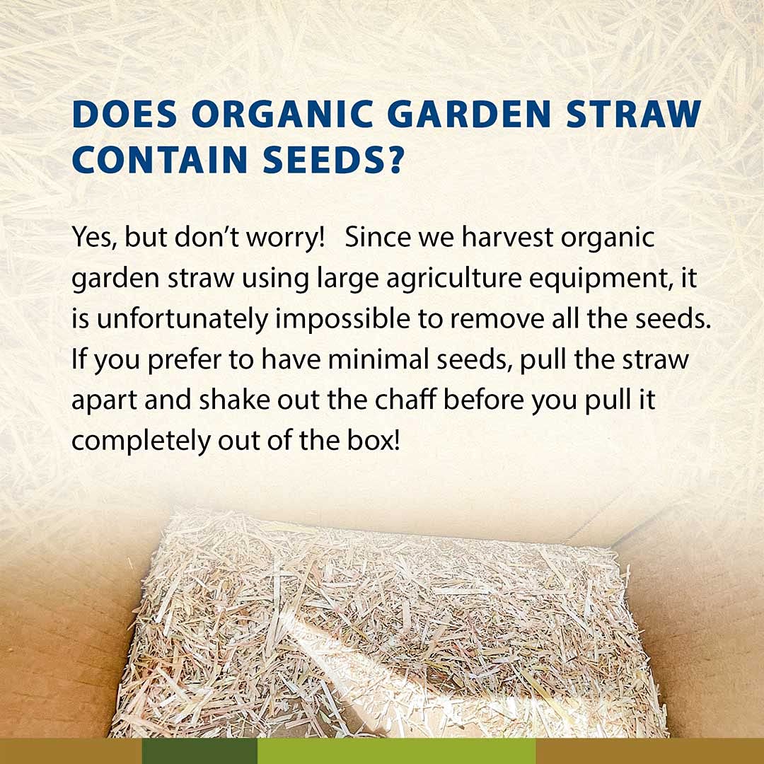 Blue Mountain Hay organic straw in a raised garden bed for neat coverage