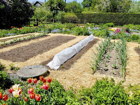 Blue Mountain Hay organic straw protects newly seeded lawn for even germination