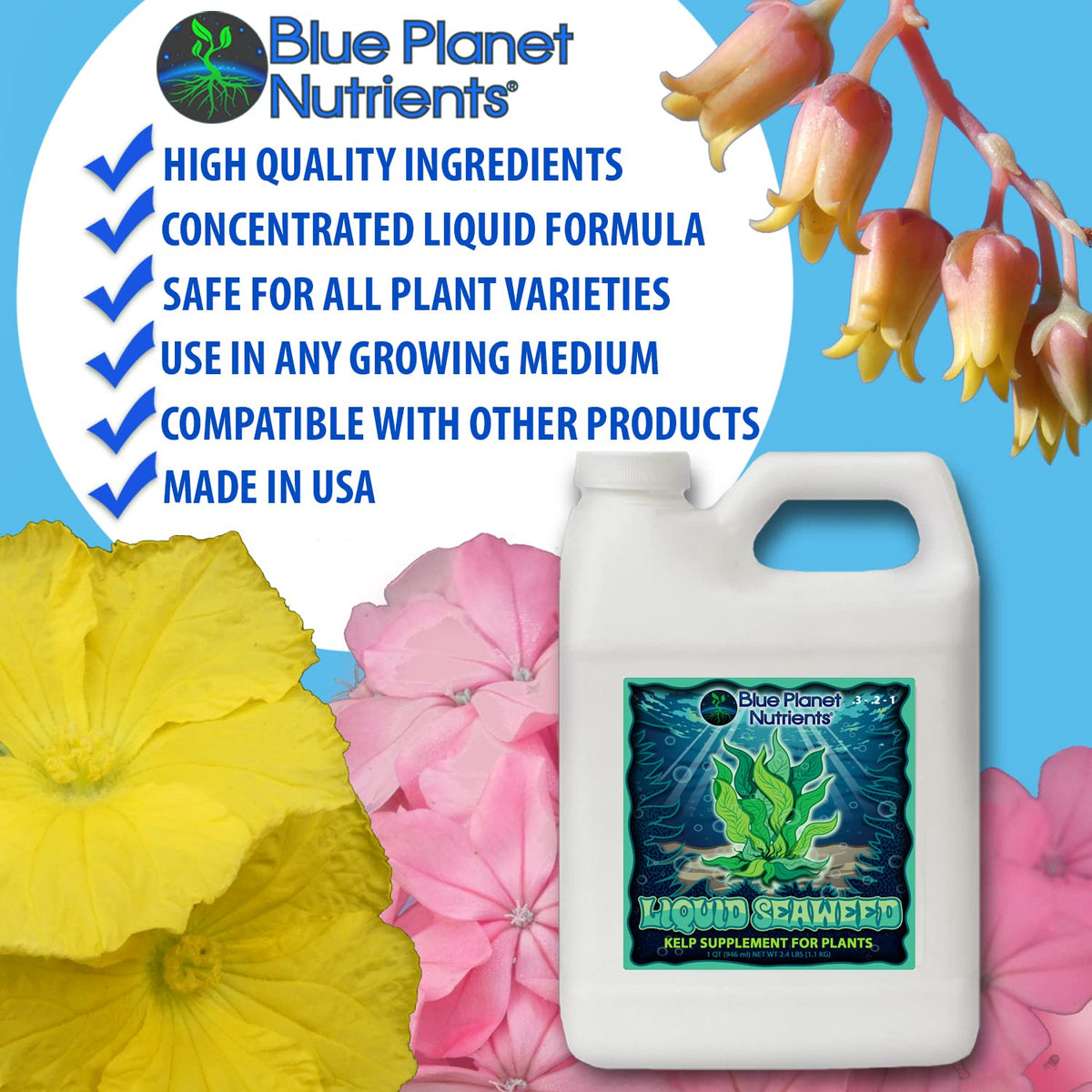 Blue Planet Nutrients Liquid Kelp in garden boosts soil life and vigor