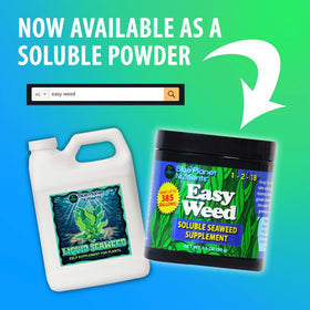 Blue Planet Nutrients root-drench application with liquid kelp benefiting robust roots