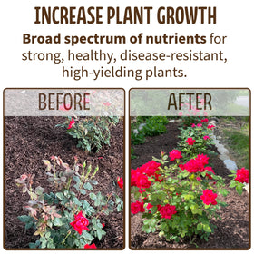 Blue Ribbon Organics compost in garden soil; improves aeration.