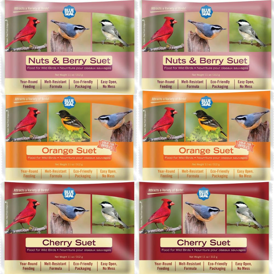 Blue Seal Berry Blend suet cake packaging for easy storage and use.
