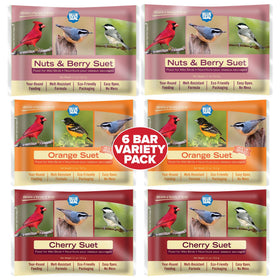 Blue Seal Berry Blend suet cake variety pack shown for year-round feeding.