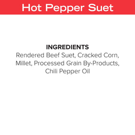 Blue Seal hot pepper suet cake in yard attracts various birds