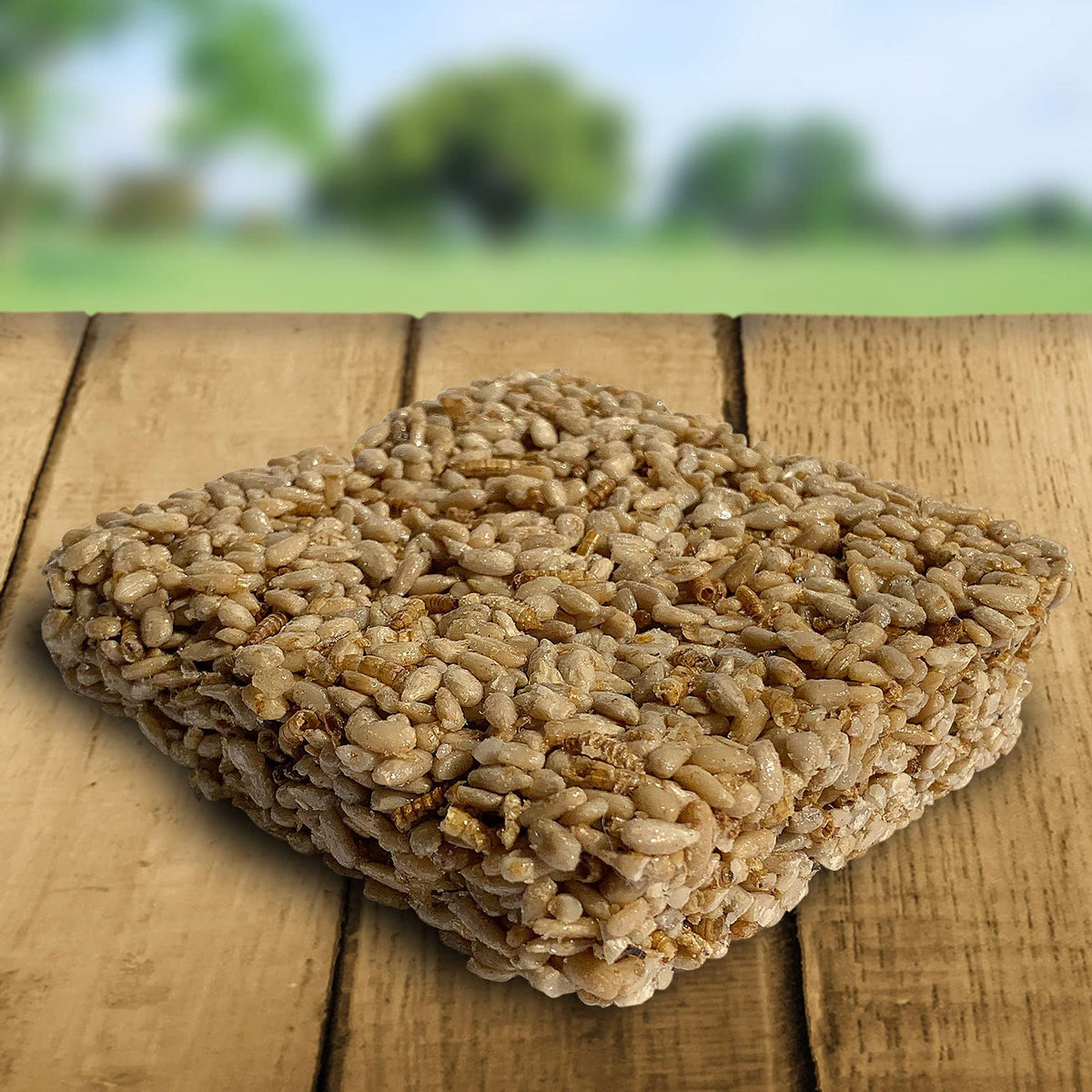 Blue Seal Mealworm Medley bars in feeder attract diverse backyard birds.