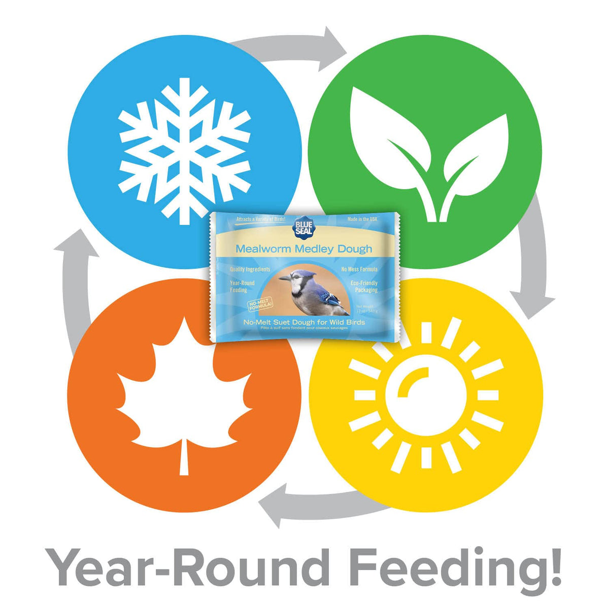 Blue Seal Mealworm Medley with winter-friendly feeding setup attracting woodpeckers and cardinals.