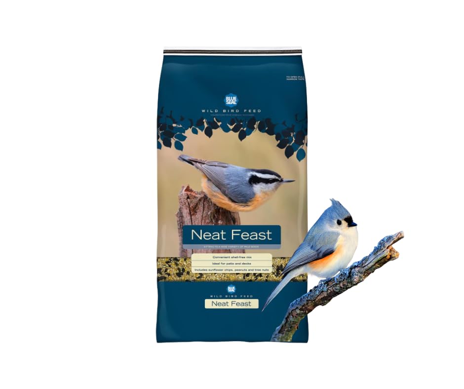 Blue Seal Neat Feast Wild Bird Seed bag with shell-free mix for easy outdoor feeding