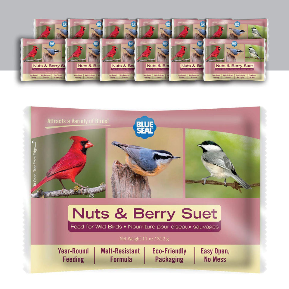 Blue Seal Nuts & Berry Suet Cakes in a forest setting feeding backyard birds