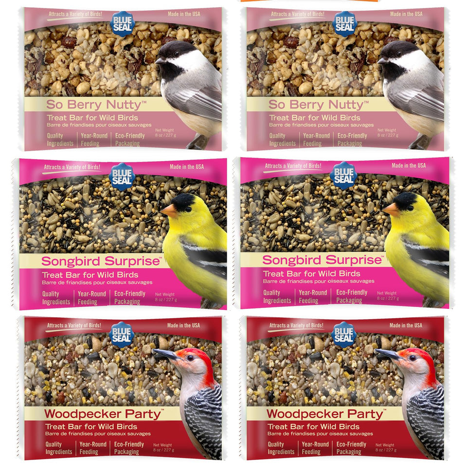 Blue Seal variety-pack suet bars ready for year-round backyard feeding