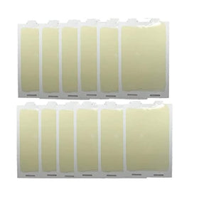 Blue Touch 12-traps sticky mouse trap setup for homes and businesses, non-toxic and effective.