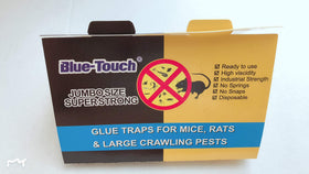 Blue Touch glue boards shown for indoor and outdoor pest control use