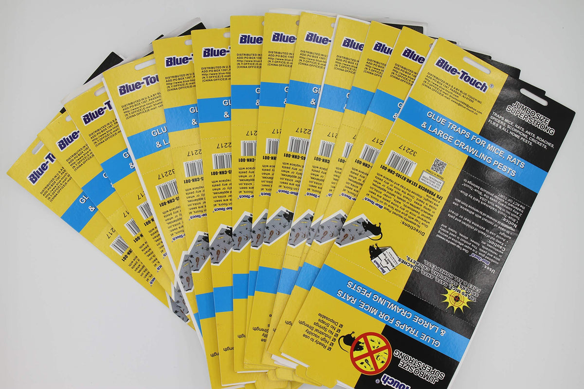 Blue Touch pack of 12 traps for ongoing pest management