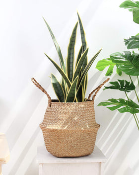 BlueMake decor corner setup illustrates stylish natural storage for living areas