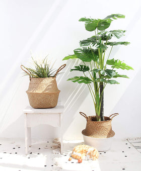 BlueMake living room arrangement highlights aesthetic practicality for everyday use