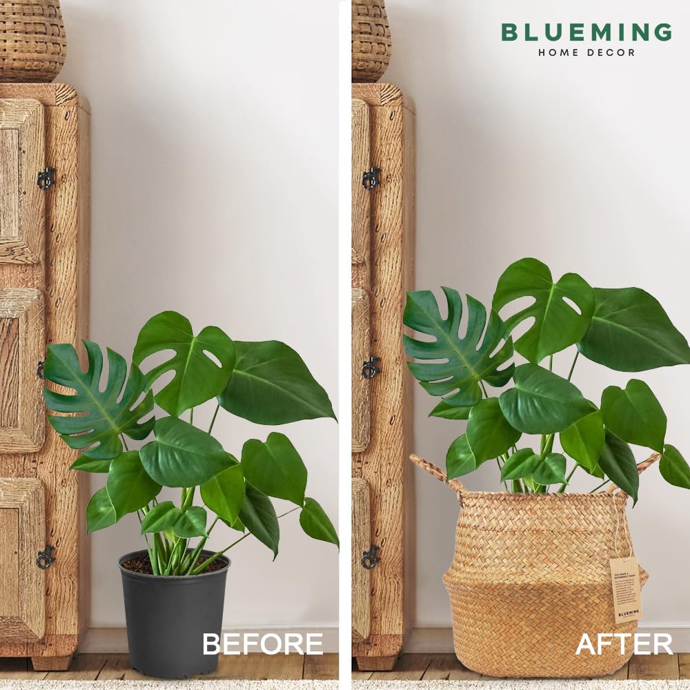 Blueming Home Decor 10-inch opening basket demonstrates versatile size for standard pots.