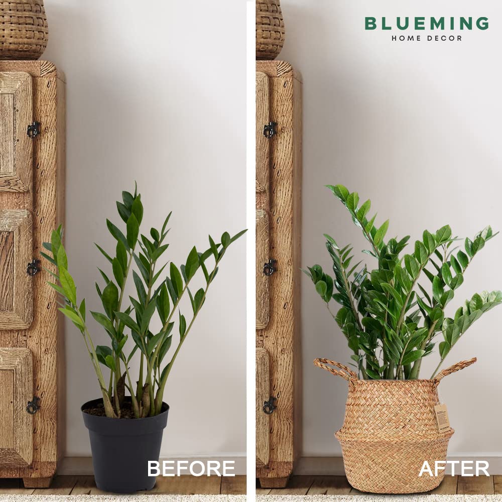 Blueming Home Planter Cover fits 10-inch pots for tidy display.