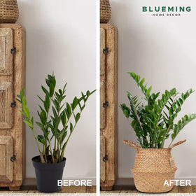 Blueming Home Planter Cover fits 10-inch pots for tidy display.