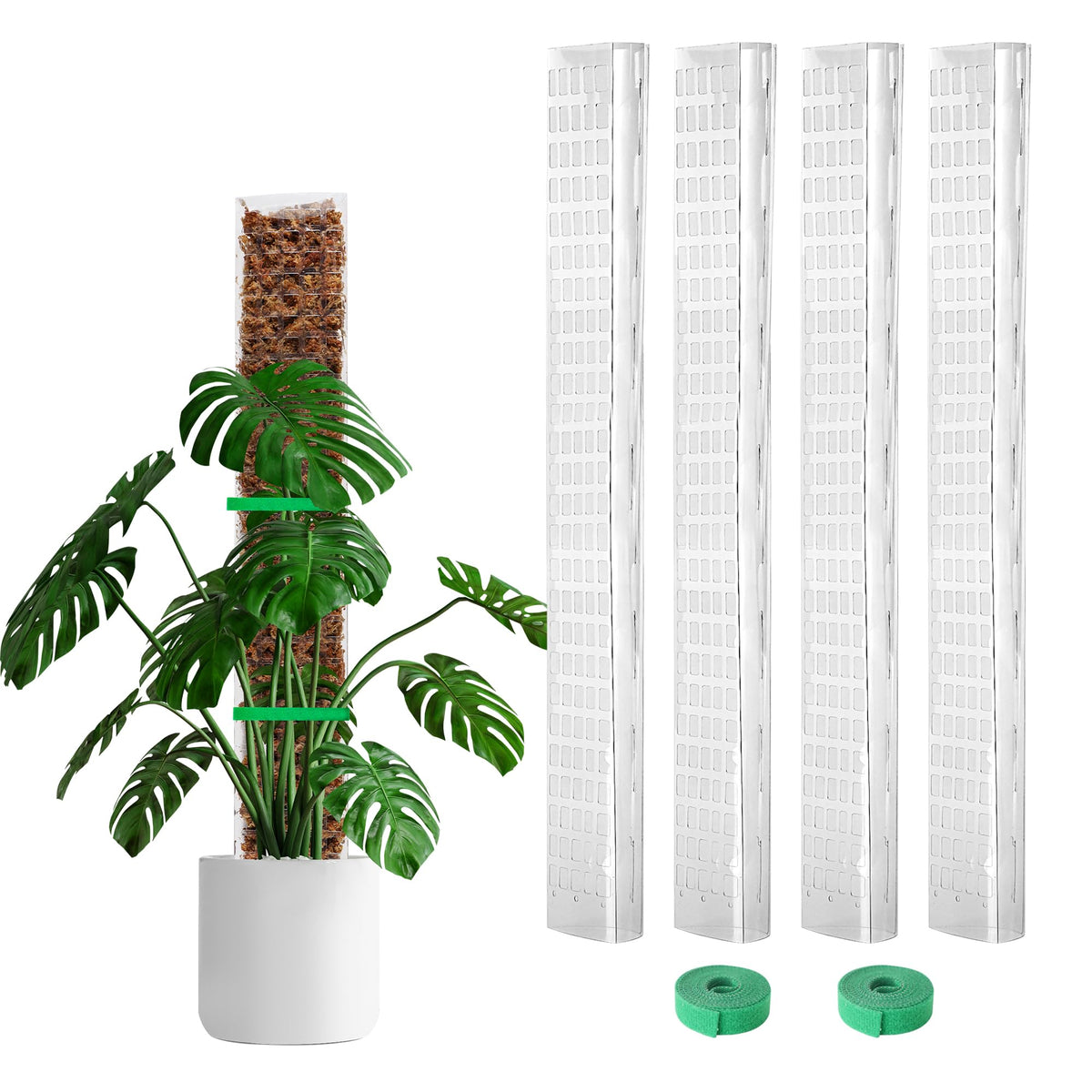 Bluepro 24inch moss pole front view supports vertical growth