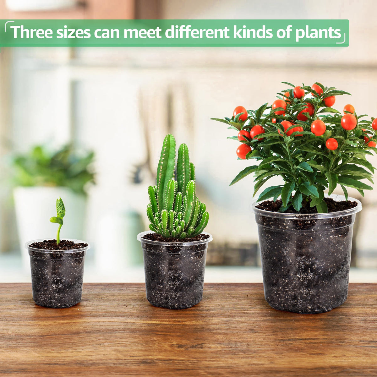 Bluepro 3.5-inch nursery pot, ideal starter pot for herbs and small seedlings.