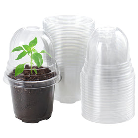 Bluepro 30-pack 4-inch clear nursery pot with humidity dome for seed starting and monitoring